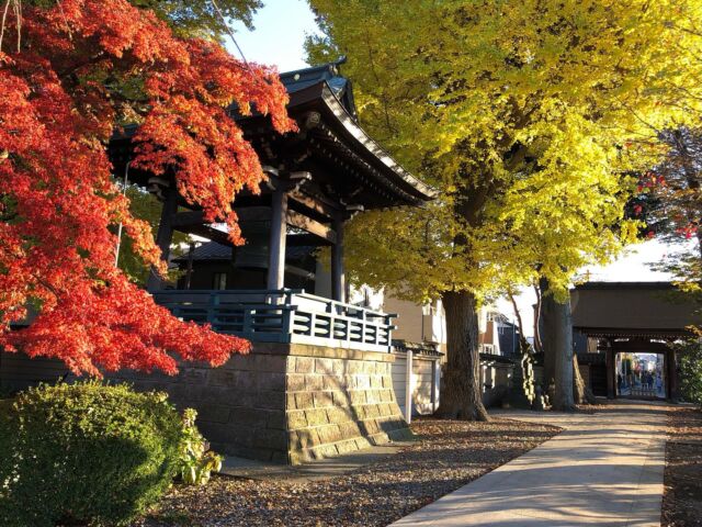 真言宗智山派について - 宝幢寺（ほうどうじ）【真言宗 智山派】